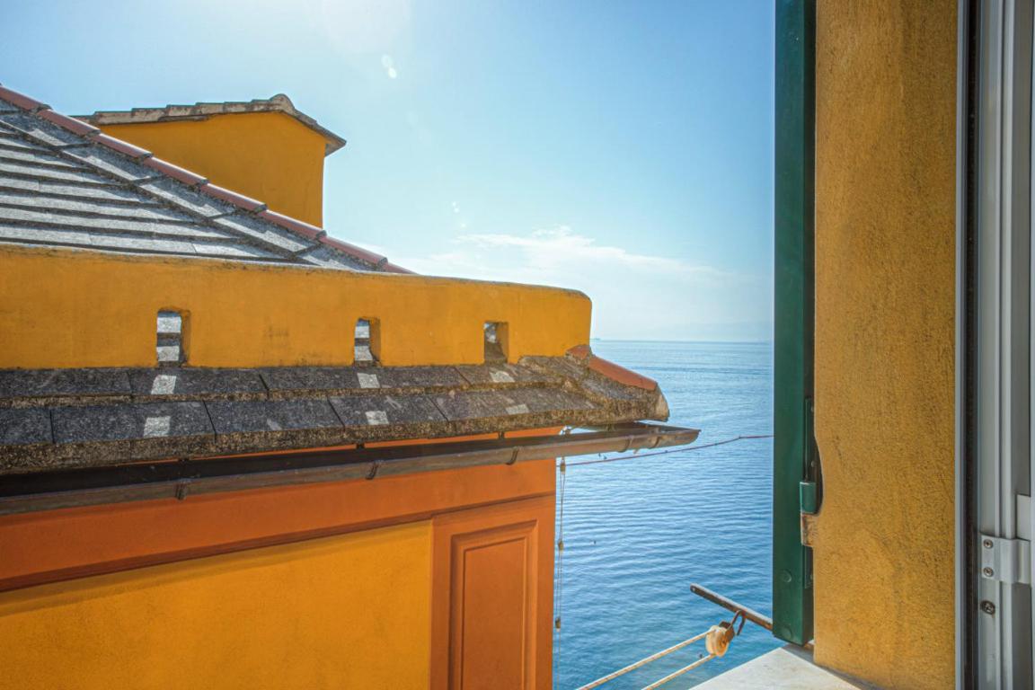 Casa Iris